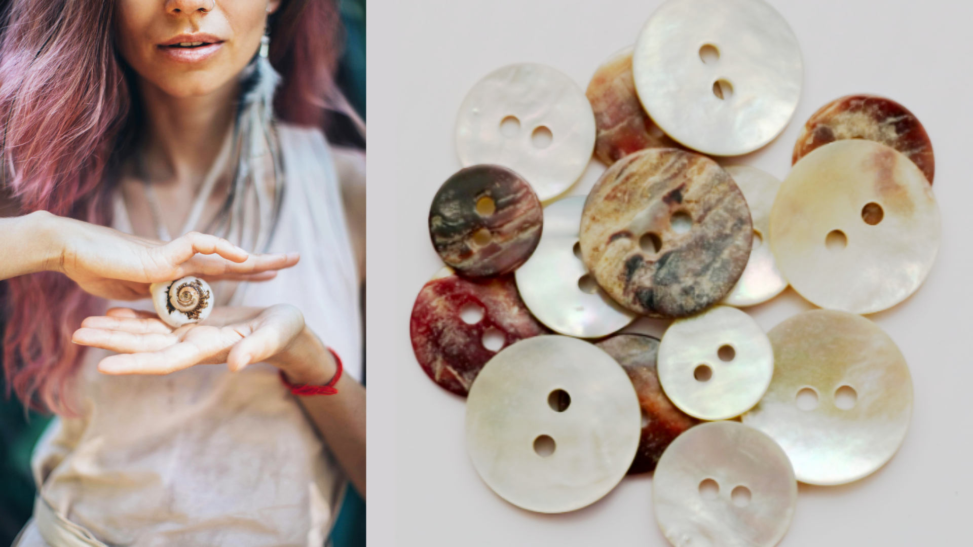 What are Shell Buttons? – BloomWillTrims